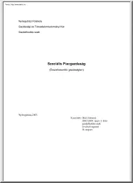Rácz Jánosné - Szociális piacgazdaság
