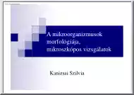 Kanizsai Szilvia - A mikroorganizmusok morfológiája