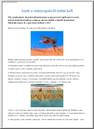 Amit a szúnyogokról tudni kell