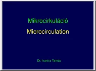 Dr. Ivanics Tamás - Mikrocirkuláció