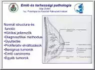 Sápi Zoltán - Emlő és terhességi