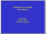 Várnai Péter - Receptorok és szignál transzdukció
