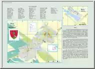 Dány térképe és rövid története
