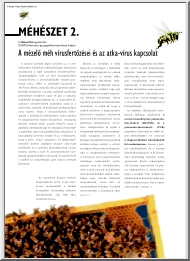 Dr. Rusvai Miklós - A mézelő méh vírusfertőzései és az atka-vírus kapcsolat