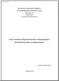 Misinszki Réka - Europ Assistance Magyarország Kft tevékenységének és piacának bemutatása, stratégiai elemzése