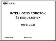 Mester Gyula - Robotmanipulátorok kinematikája