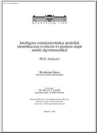 Botzheim János - Intelligens számítástechnikai modellek identifikációja evolúciós és gradiens alapú tanuló algoritmusokkal