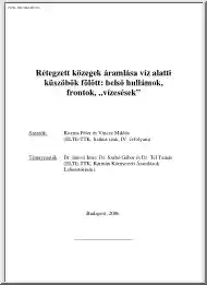 Kozma-Vincze - Rétegzett közegek áramlása víz alatti küszöbök fölött