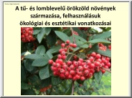 Sütöriné Diószegi Magdolna - A tű- és lomblevelű örökzöld növények származása, felhasználásuk ökológiai és esztétikai vonatkozásai