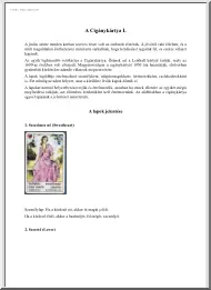 Nayah - A Cigánykártya I.