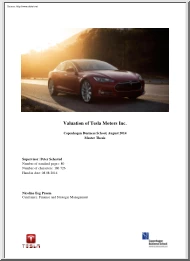 Nicoline Eeg Praem - Valuation of Tesla Motors Inc