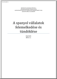 Hegyi Katalin - A spanyol vállalatok felemelkedése és tündöklése