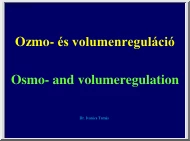 Dr. Ivanics Tamás - Ozmo- és volumenreguláció