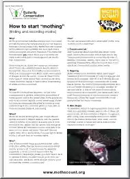 How to Start Mothing