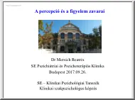 Dr. Mersich Beatrix - A percepció és a figyelem zavarai
