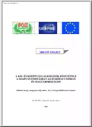 Bíró-Rátzné - A kis és középvállalkozások részvétele a szabványosításban az Európai Unióban és Magyarországon