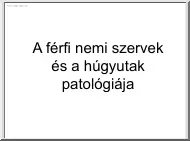 A férfi nemi szervek és a húgyutak patológiája