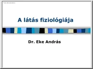 Dr. Eke András - A látás fiziológiája