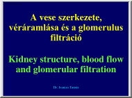 Dr. Ivanics Tamás - A vese szerkezete, véráramlása és a glomerulus filtráció