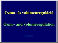 Dr. Kollai Márk - Ozmo- és volumenreguláció