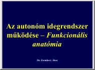 Dr. Zsembery Ákos - Az autonóm idegrendszer működése I., Funkcionális anatómia