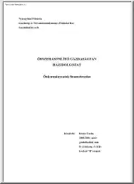 Koncz Csaba - Önkormányzatok