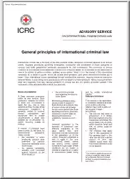 General Principles of International Criminal Law