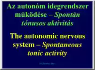 Dr. Zsembery Ákos - Az autonóm idegrendszer működése II., Spontán tónusos aktivitás