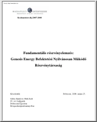 Gábor-Oláh - Fundamentális részvényelemzés, a Genesis Energy Befektetési NyRt.