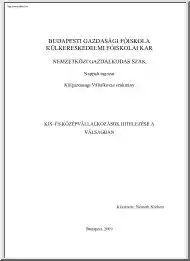 Németh Norbert - Kis- és középvállalkozások hitelezése a válságban