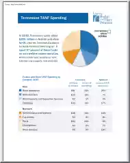 Tennessee TANF Spending