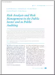 Domokos-Nyéki-Jakovac - Risk Analysis and Risk Management in the Public Sector and in Public Auditing