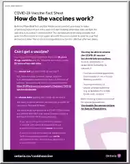 COVID-19 Vaccine Fact Sheet, How do the Vaccines Work