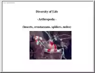 Diversity of Life, insects, crustaceans, spiders, mites
