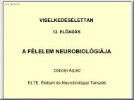 Dobolyi Árpád - A félelem neurobiológiája
