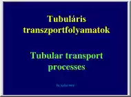 Dr. Kollai Márk - Tubuláris transzportfolyamatok