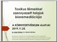 Dr. Feigl-Dr. Molnár - Toxikus fémekkel szennyezett talajok remediációja
