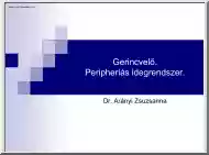 Dr. Arányi Zsuzsanna - Gerincvelő