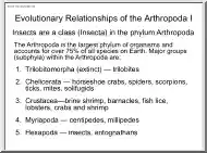 Evolutionary Relationships of the Arthropoda I.