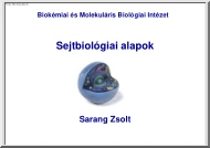 Sarang Zsolt - Sejtbiológiai alapok