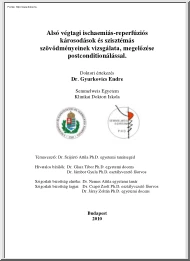 Dr. Gyurkovics Endre - Alsó végtagi ischaemiás-reperfúziós károsodások és szisztémás szövődményeinek vizsgálata megelőzése postconditionálással