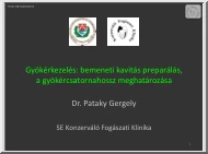 Dr. Pataky Gergely - Gyökérkezelés, bemeneti kavitás preparálás, a gyökércsatornahossz meghatározása