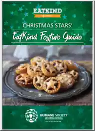 Christmas Stars, Eatkind Festive Guide