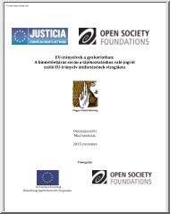EU-irányelvek a gyakorlatban, A büntetőeljárás során a tájékoztatáshoz való jogról szóló EU-irányelv átültetésének vizsgálata