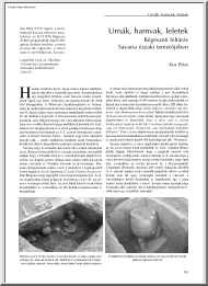 Kiss Péter - Urnák, hamvak, leletek, régészeti feltárás Savaria északi temetőjében