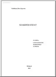 Ács Kinga - Robot-polgár, robot-politológus, avagy mit lehet automatizálni a politikai elemzések kapcsán