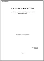 Kiss-Vajda - A biztonság kockázata, a