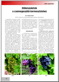Dr. Hajdu Edit - Előkészületek a csemegeszőlő-termesztéshez