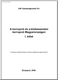Korrupciós közbeszerzési kutatás Magyarországon, I. kötet