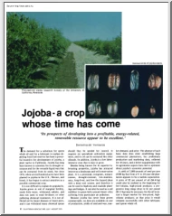 D.M. Yermanos - Jojoba, a crop whose time has come